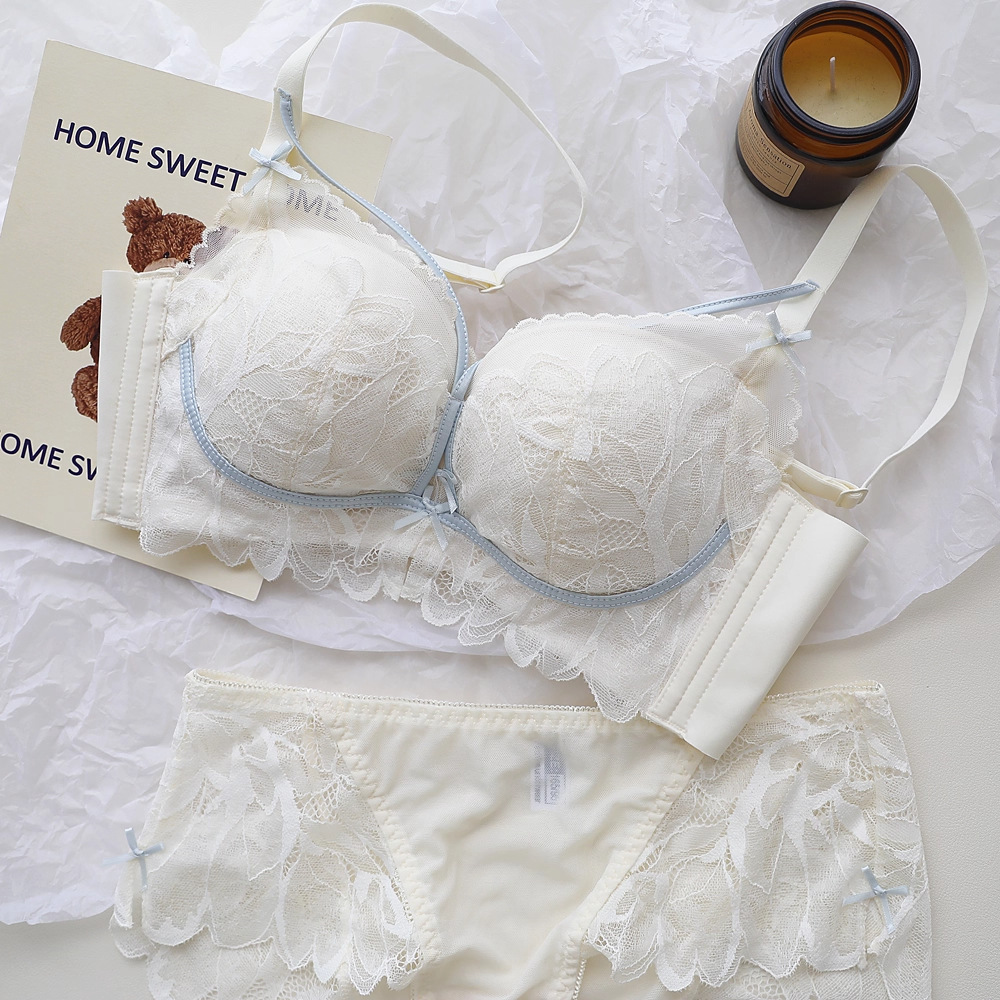 French Back Garden Lingerie Wo - Underwire Bra Padded review and price